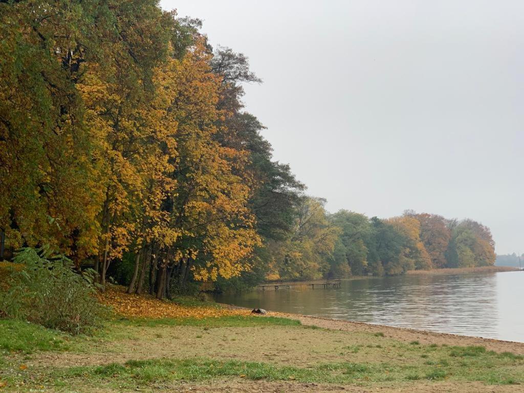 Domek Cyklisty Moryn Dış mekan fotoğraf
