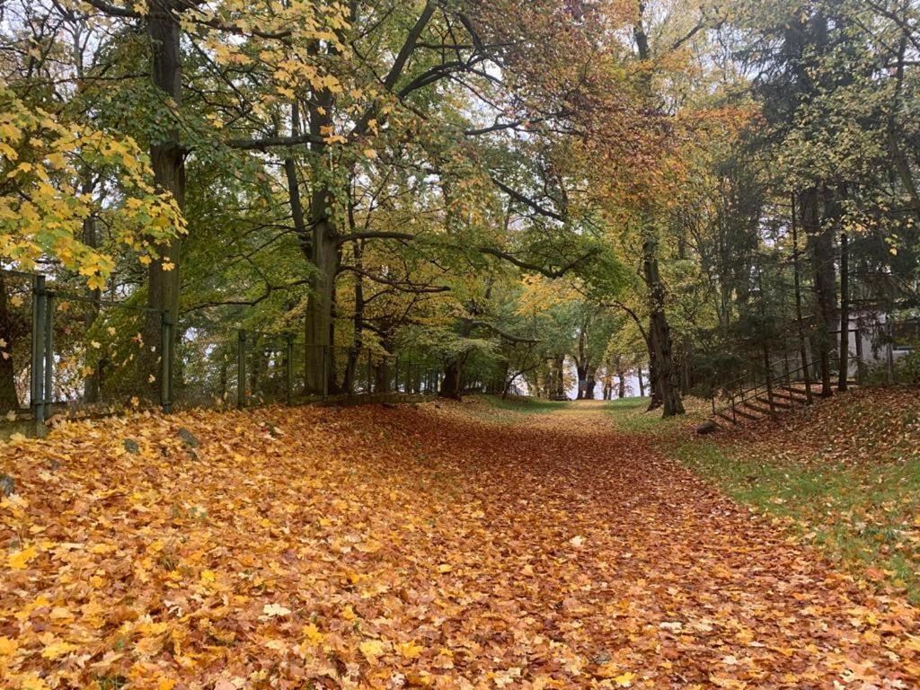 Domek Cyklisty Moryn Dış mekan fotoğraf